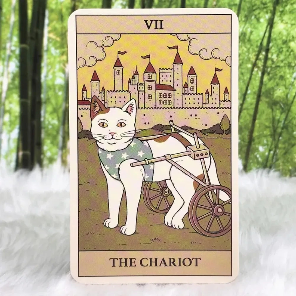 10.3*6Cm Cats Rule the Earth Tarot: 78-Card Deck for the Feline-Obsessed